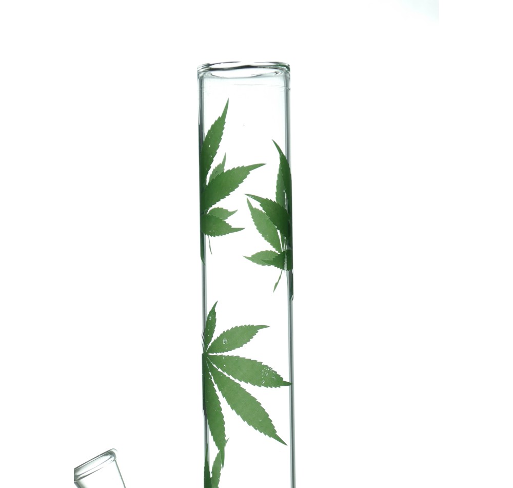 Glas Zylinder viele Blätter
