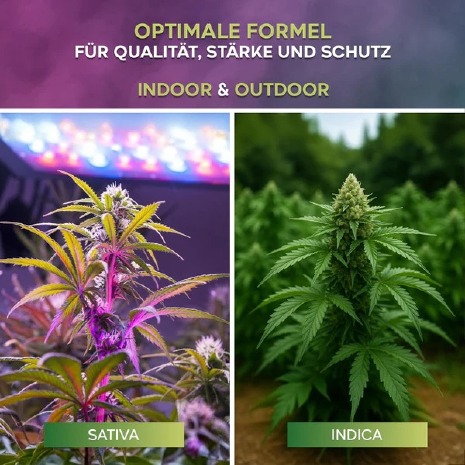 Hanf Dünger Grow (0,5 L)