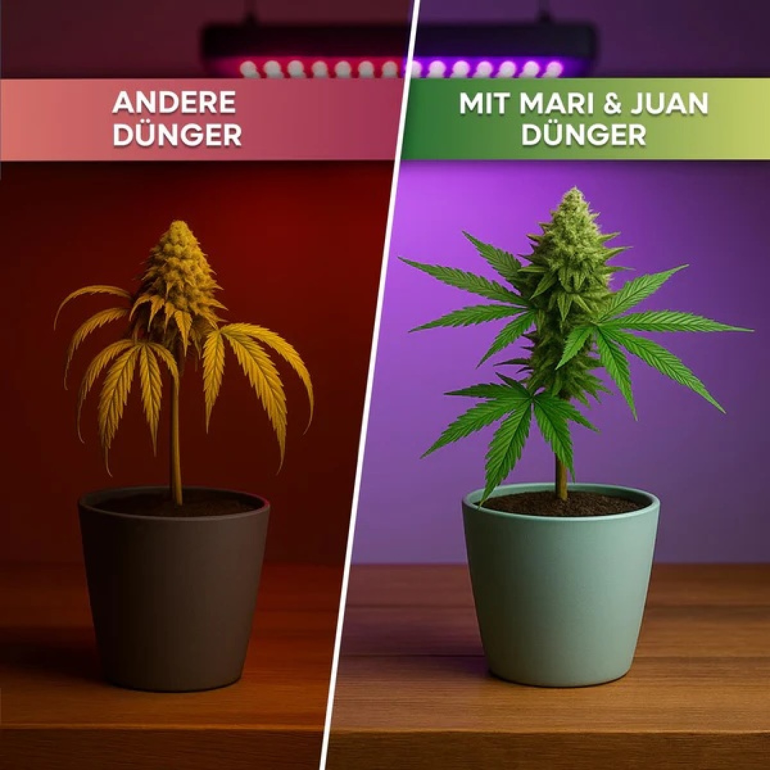 Hanf Dünger Grow (0,5 L)