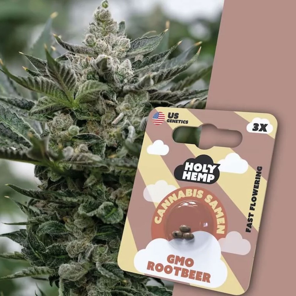 HolyHemp Seeds - US GMO Rootbeer 3 Stück