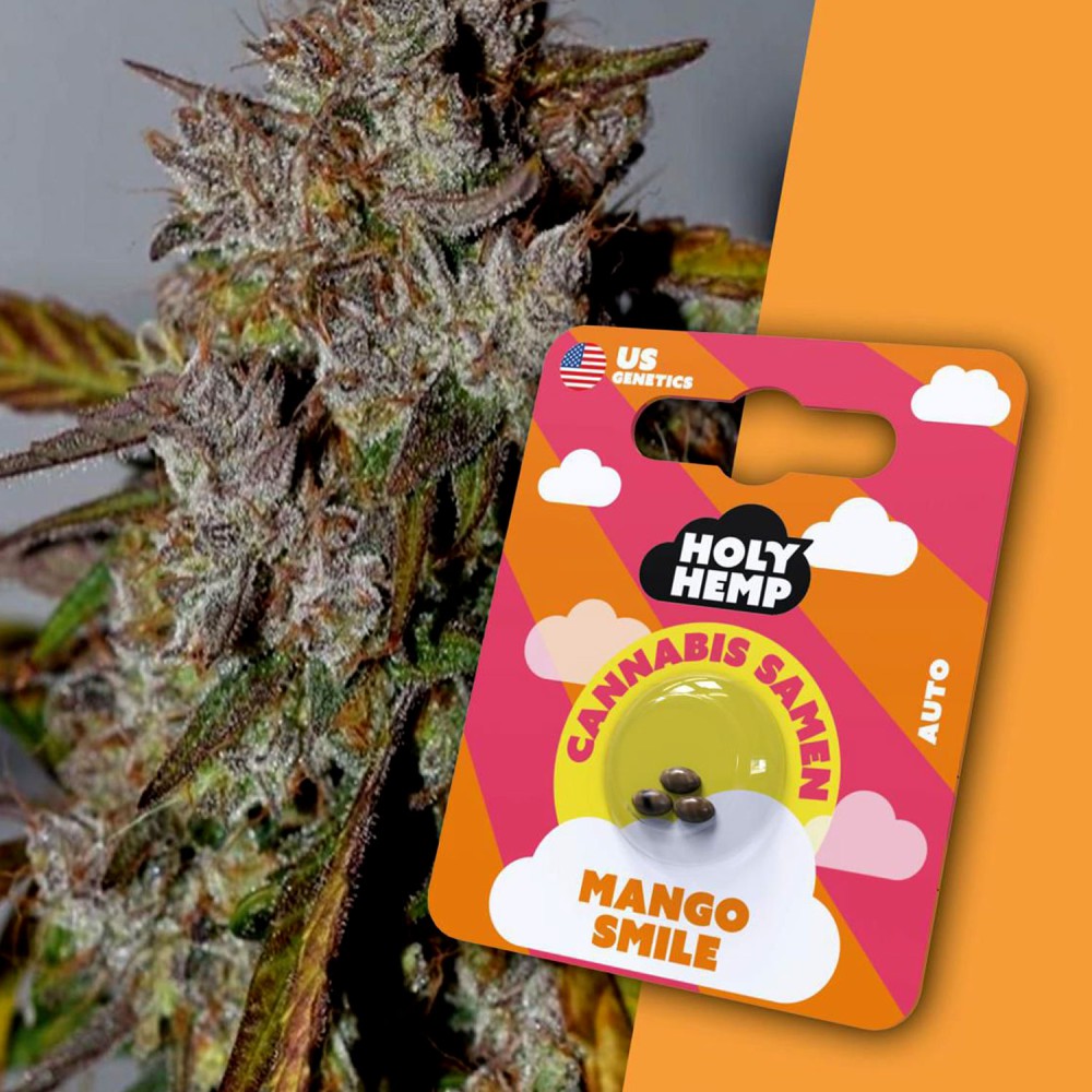 HolyHemp Seeds - Mango Smile 3 Stück