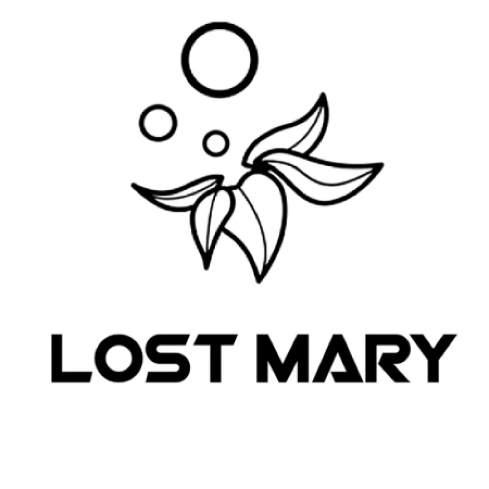 Lost Mary