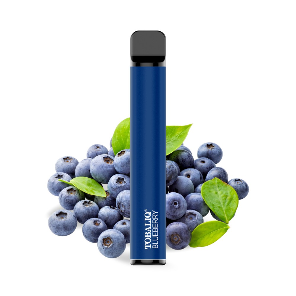 E-Shisha ohne Nikotin 700 züge Blueberry  VE-10