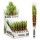 G-Tube | " Amsterdam Grassroot Skeleton " Weiss Cone Holders 36er Display