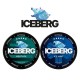 Iceberg