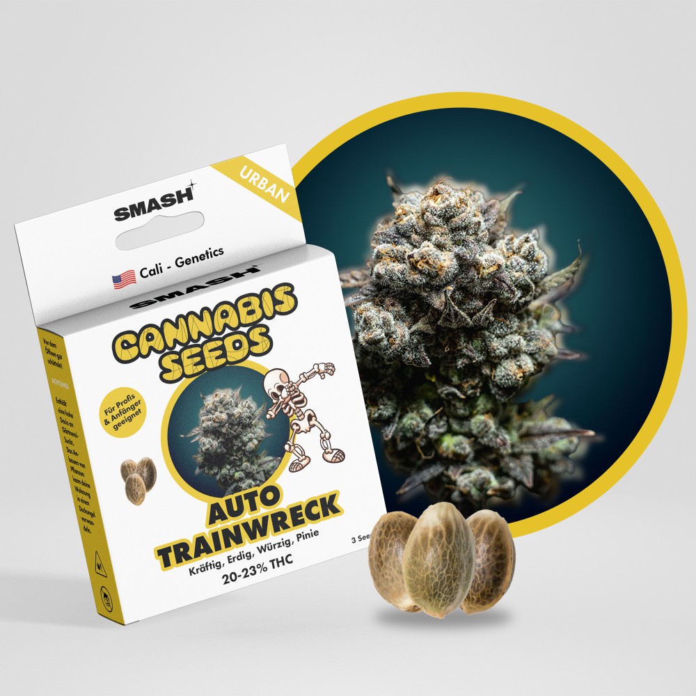 Smash Seeds AUTO " Trainwerck  " Autoflower 21-25% THC, 3er Packung +3 Pflanzenschilder 