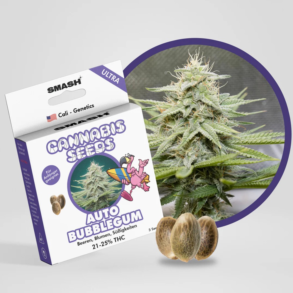 Smash Seeds  "Auto Bubblegum" | 21-25% THC | Ultra Genetic | 3 Samen pro Packung