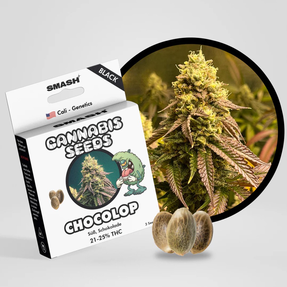 Smash Seeds  "Chocolop" | 21-25% THC | Black Genetic | 3 Samen pro Packung