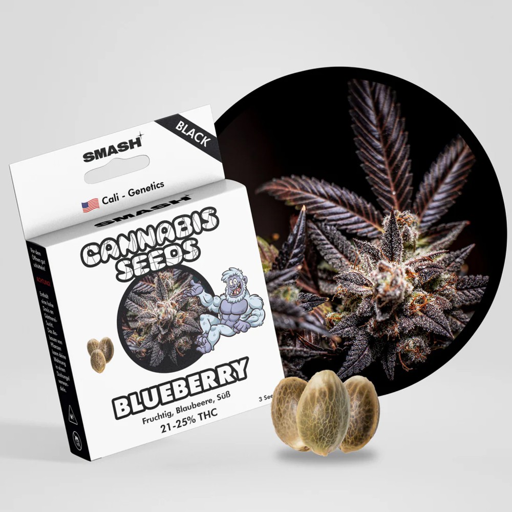 Smash Seeds  "Blueberry" | 21-25% THC | Black Genetic | 3 Samen pro Packung