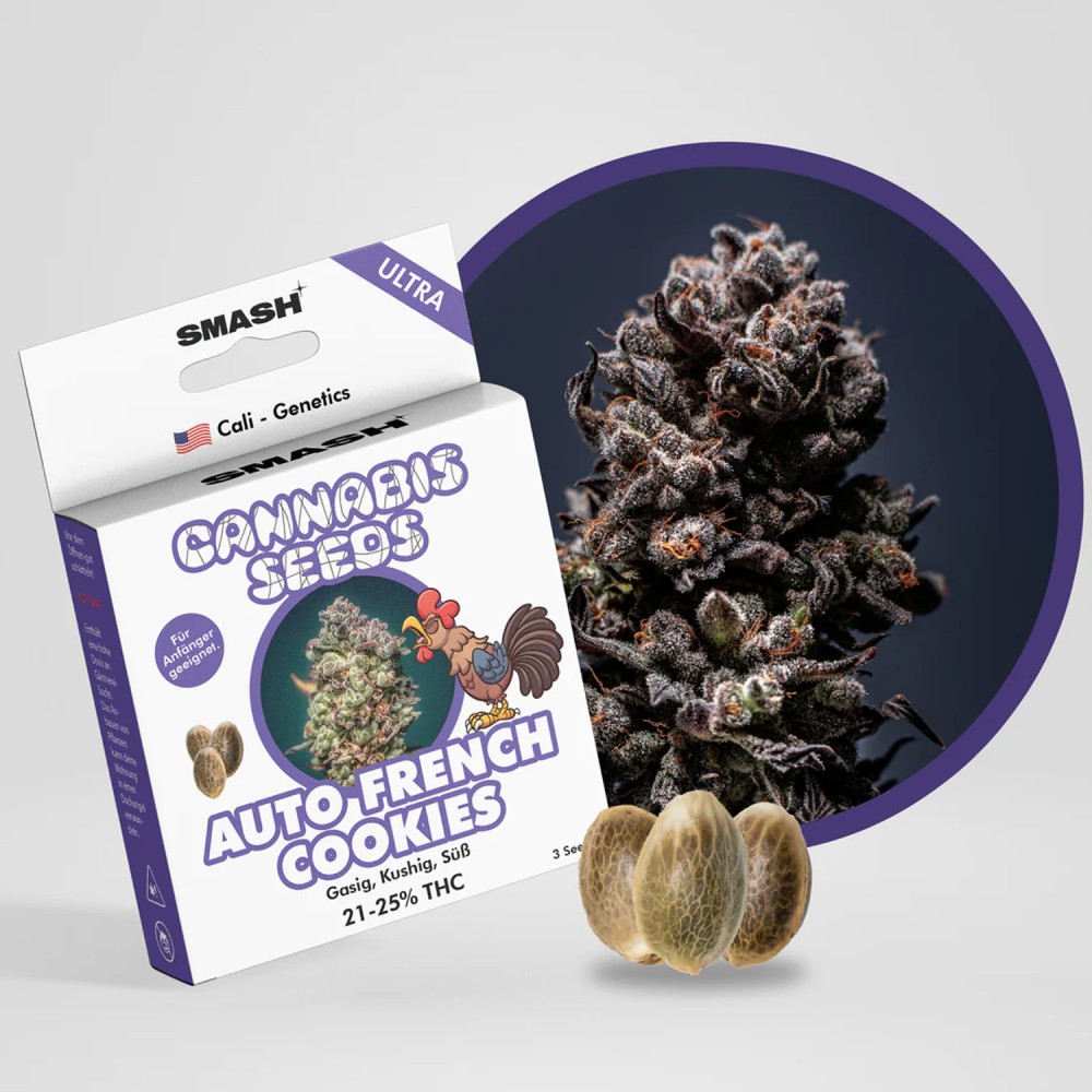 Smash Seeds  "Auto French Cookies" | 21-25% THC | Ultra Genetic | 3 Samen pro Packung