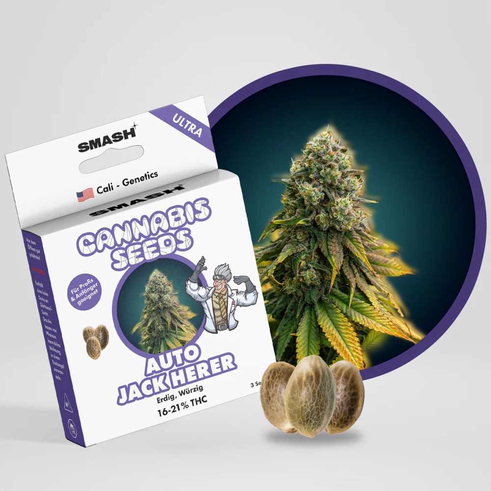 Smash Seeds  "Auto Jack Herer" | 21-25% THC | Ultra Genetic | 3 Samen pro Packung