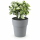 Versteck Blumen 15,4 x 12,4 cm.
