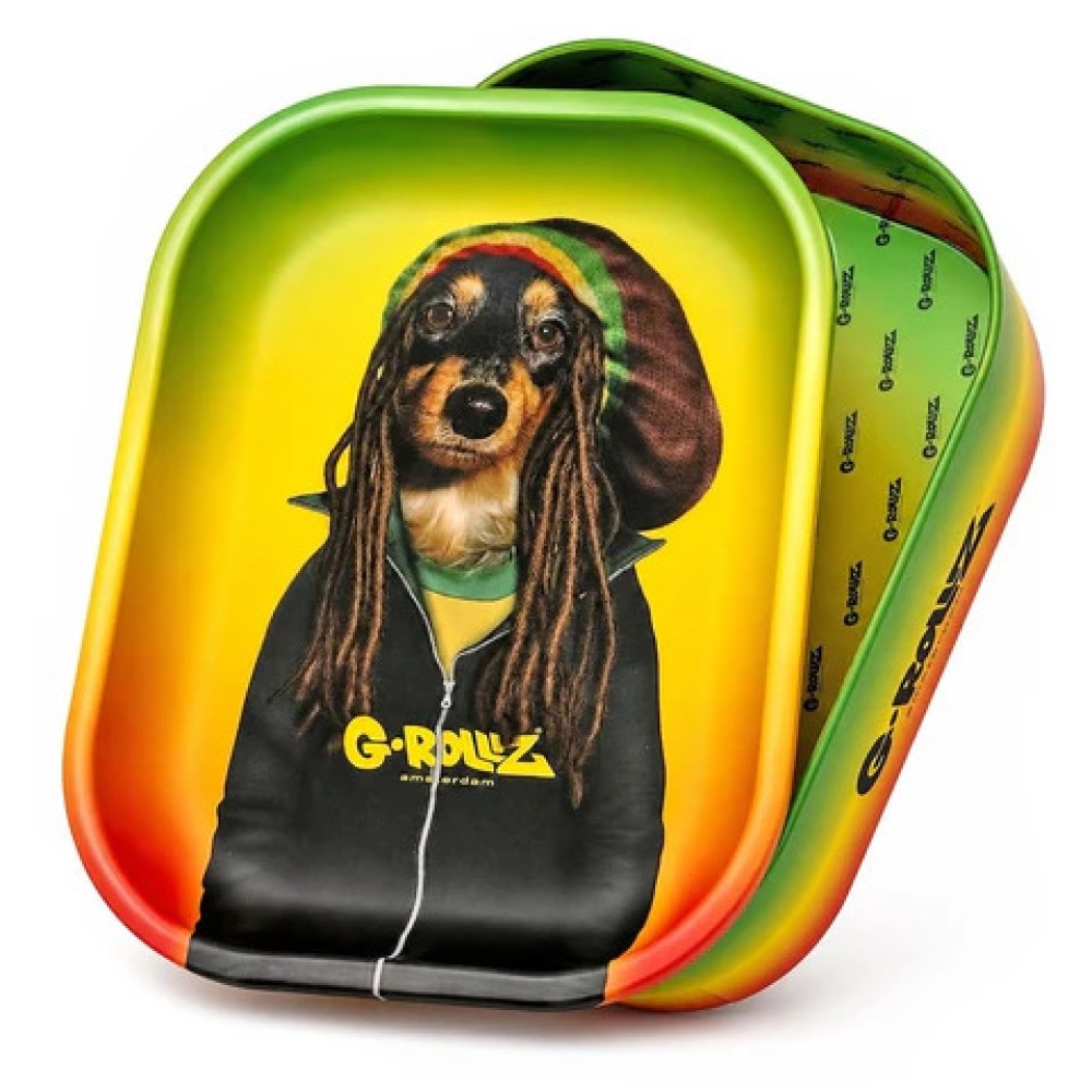 G-Rollz I Box mit Tray Pets " Reggie " Storage Box Medium  